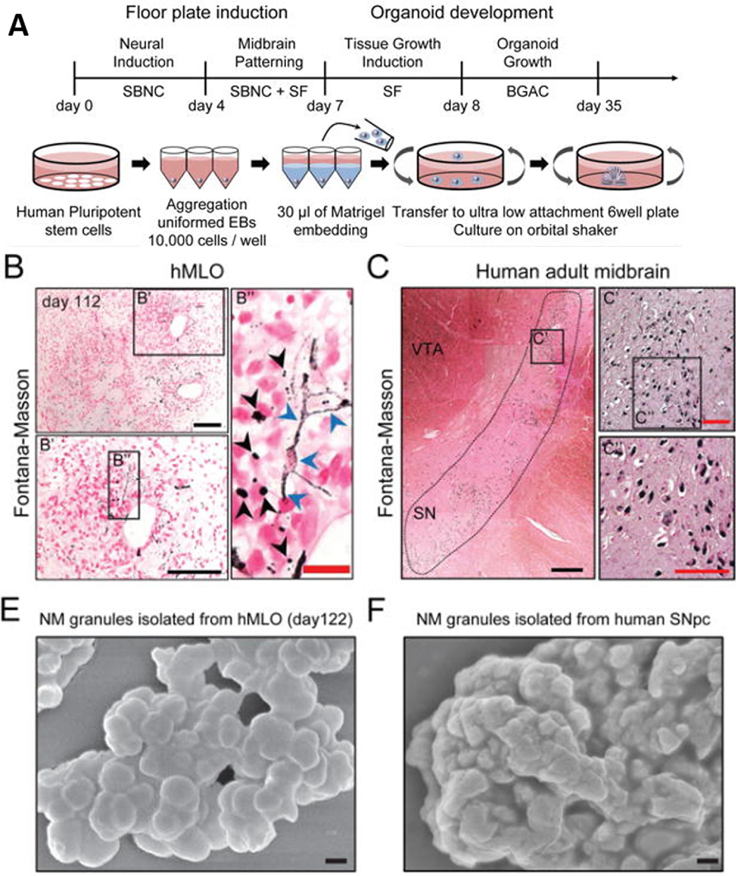 Figure 17.