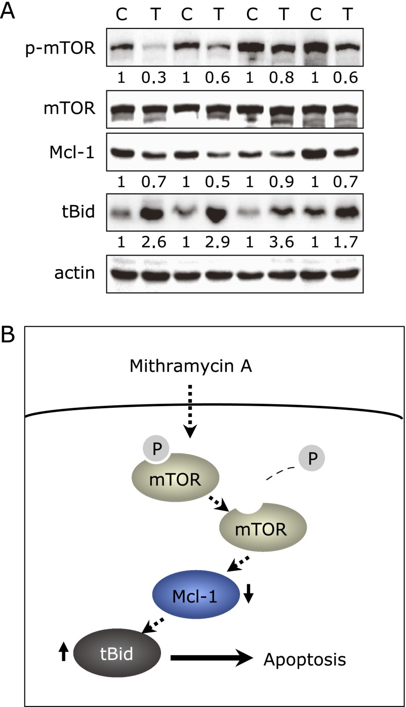 Fig. 3