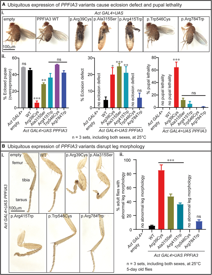 Figure 3