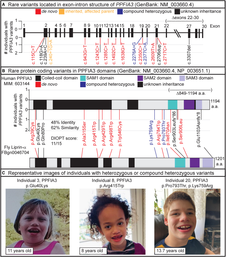 Figure 1