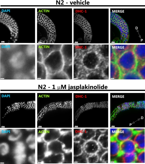 Figure 12.