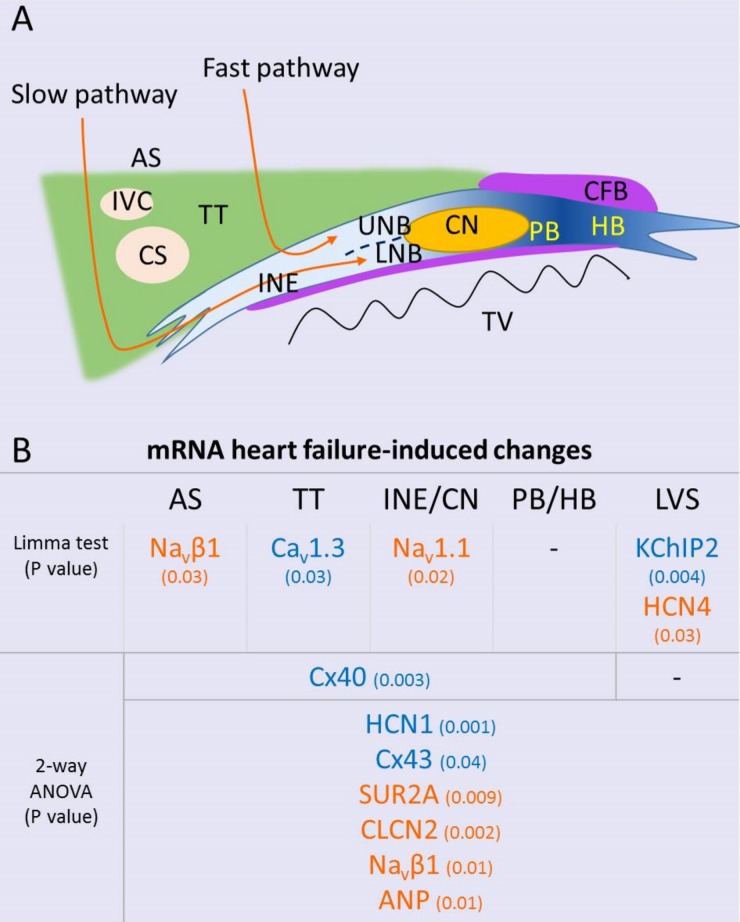 Fig 8