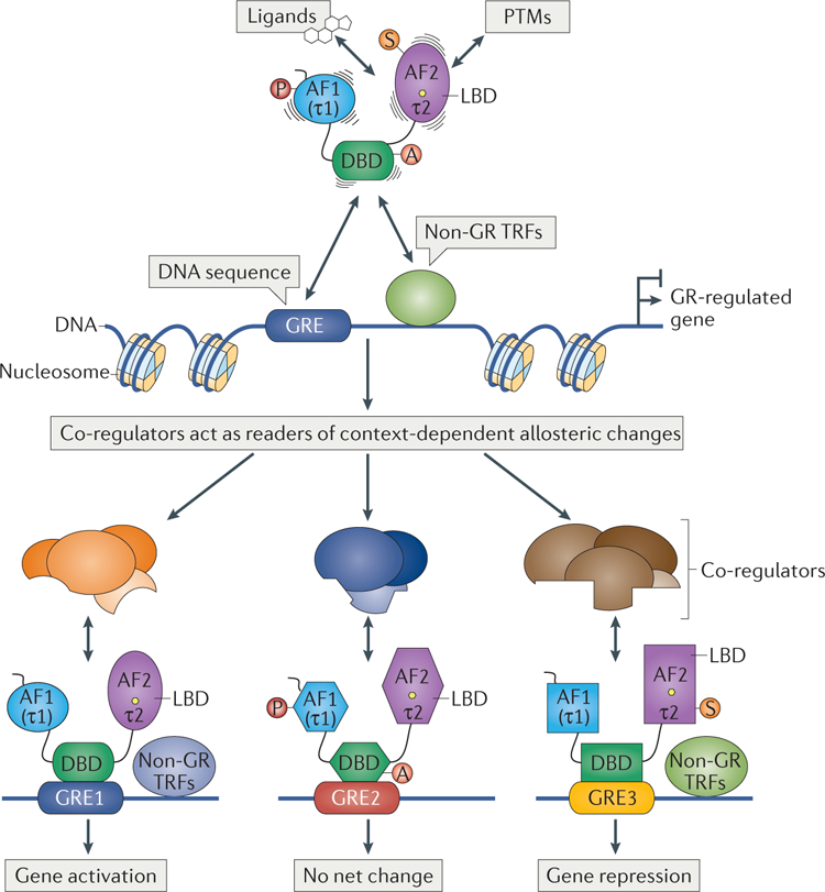 Figure 6 |