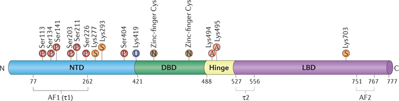 Figure 5 |