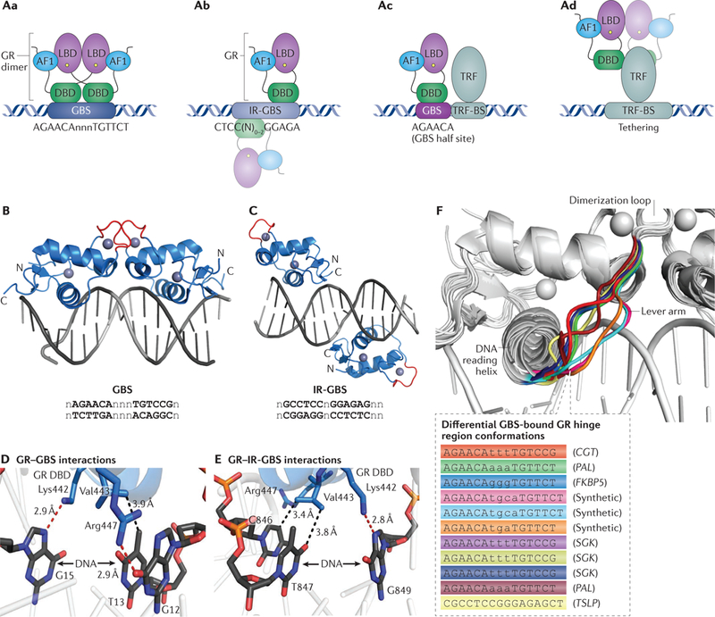 Figure 2 |