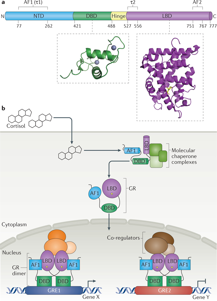 Figure 1 |