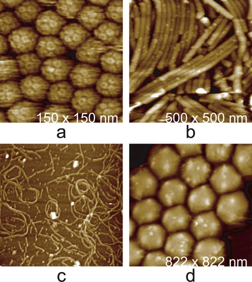 Fig. 3.