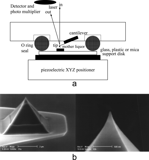 Fig. 1.