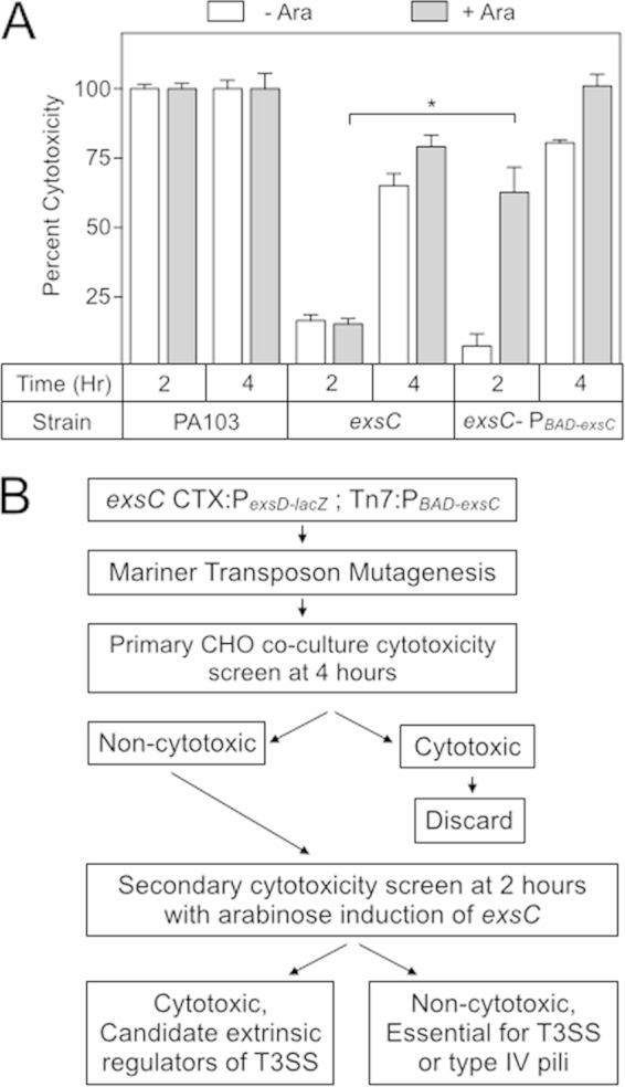 FIG 1