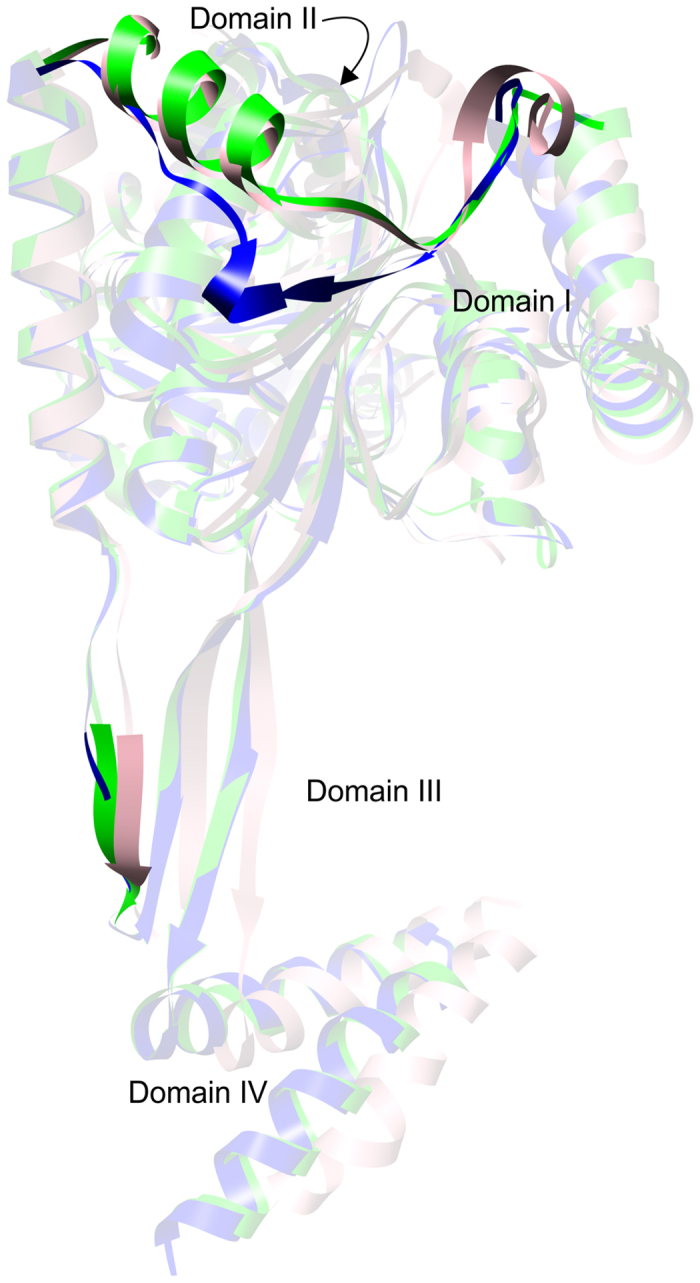 Figure 8