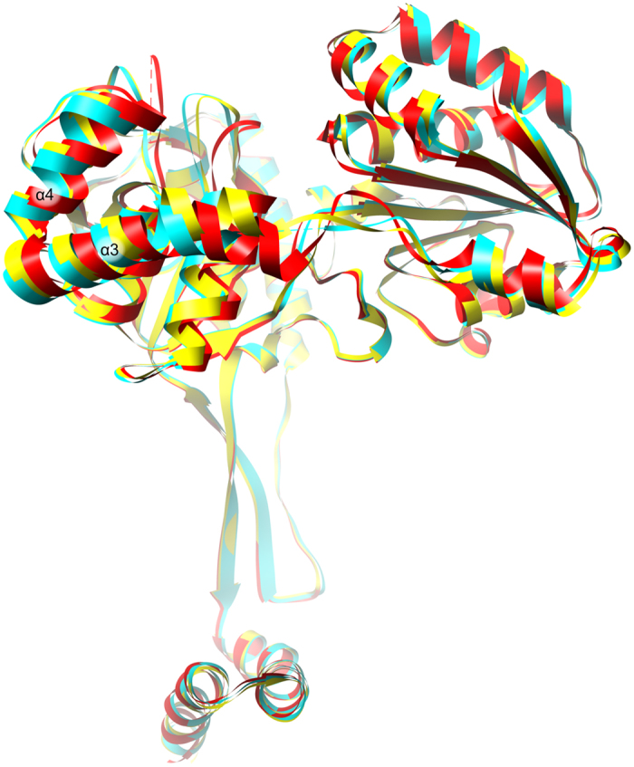 Figure 7