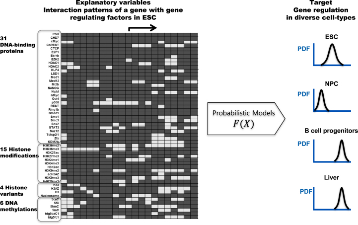 Figure 1.