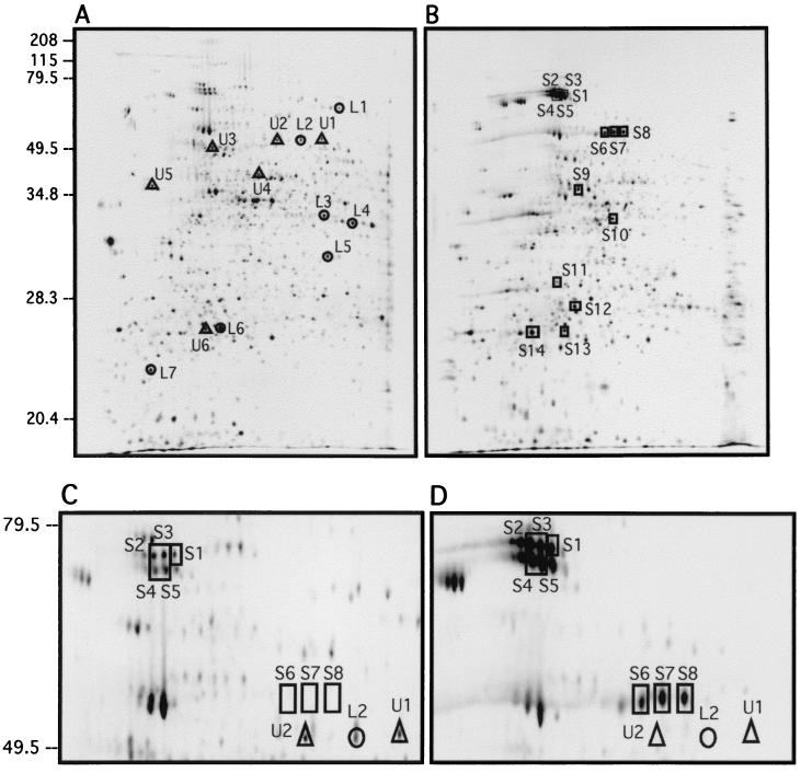 FIG. 3