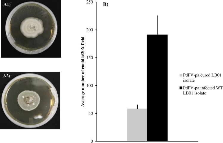 Fig 6