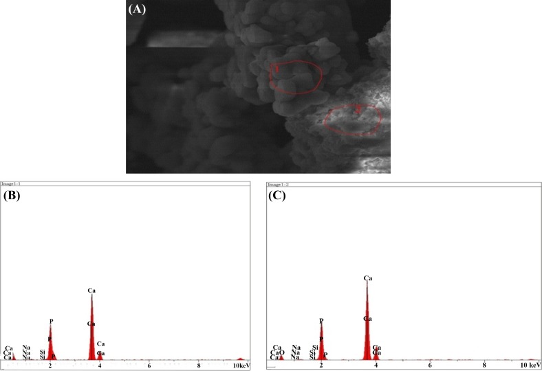 Fig. 12