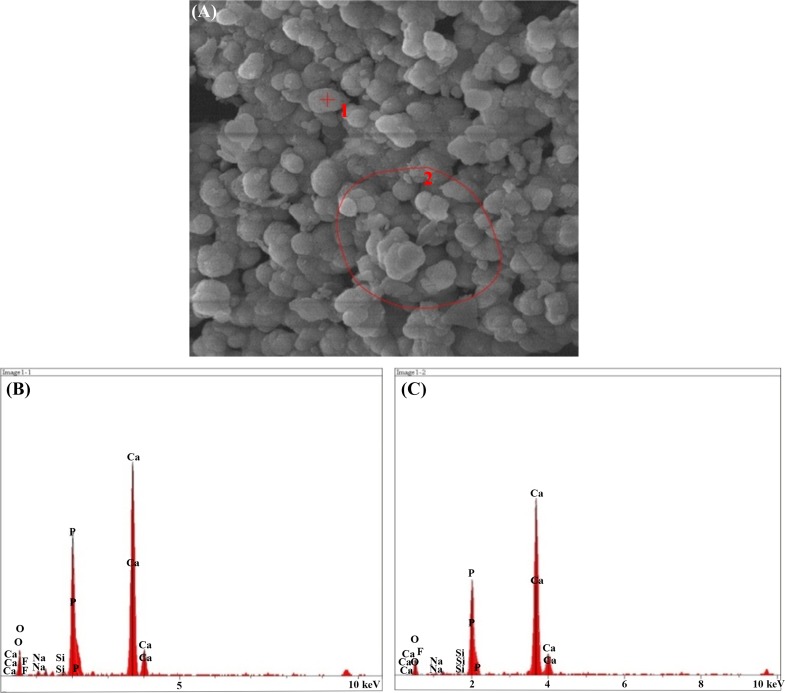 Fig. 14