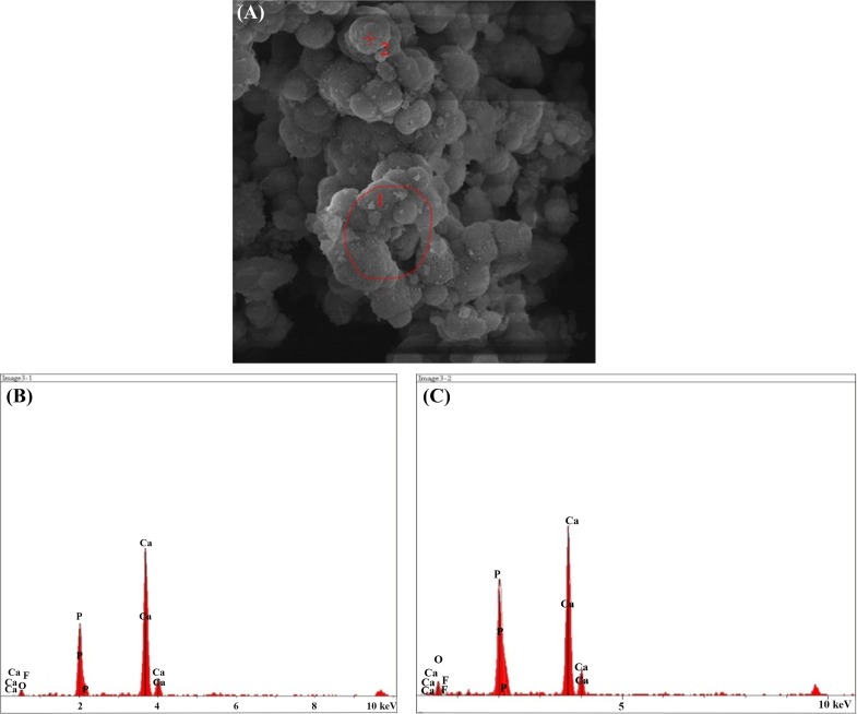 Fig. 16