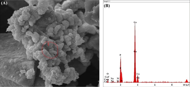 Fig. 13