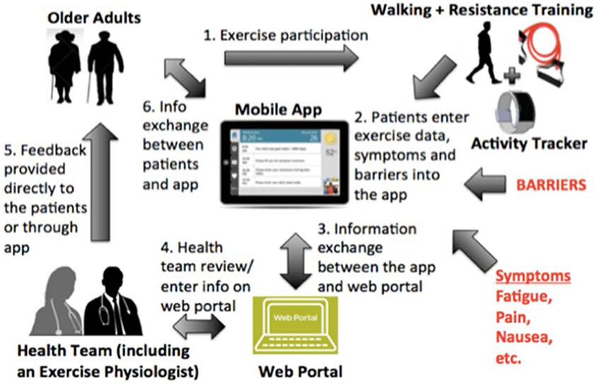 Figure 1: