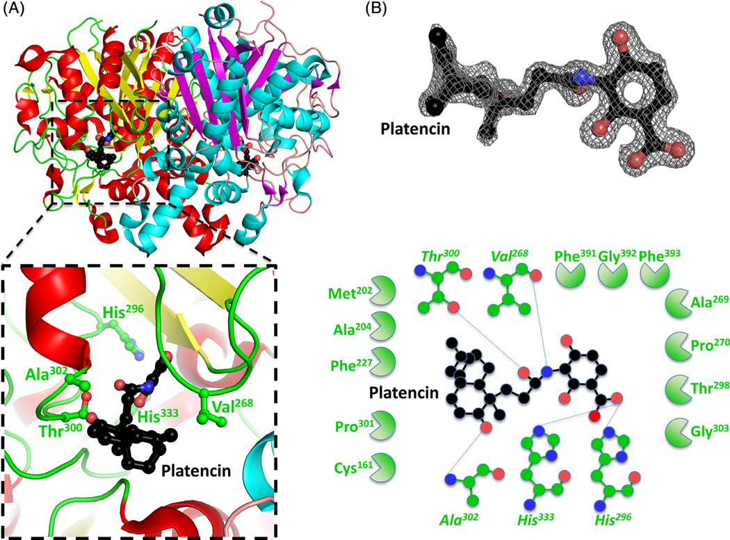 FIGURE 4