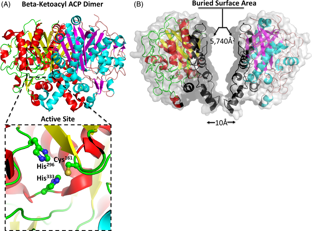 FIGURE 3