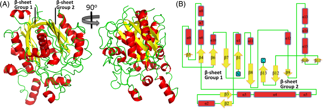 FIGURE 1