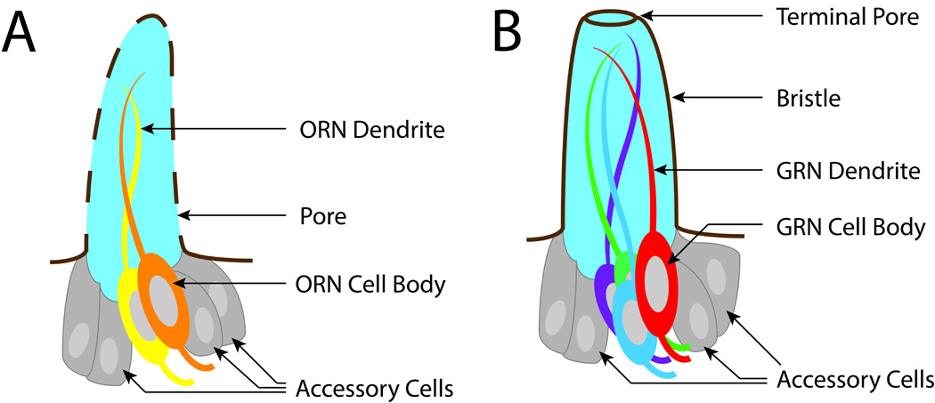 Fig. 2