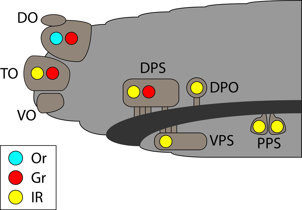 Fig. 3