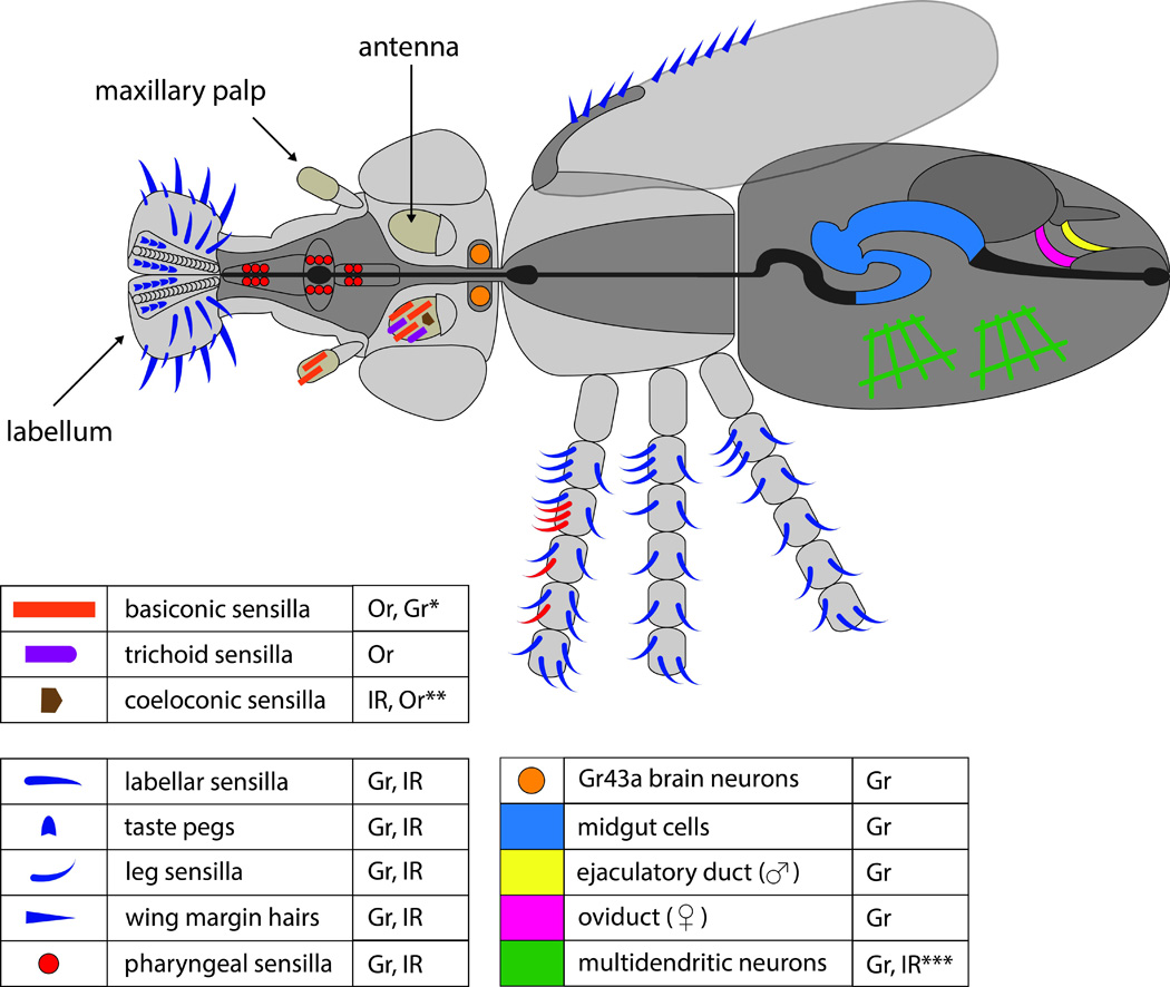 Fig. 1