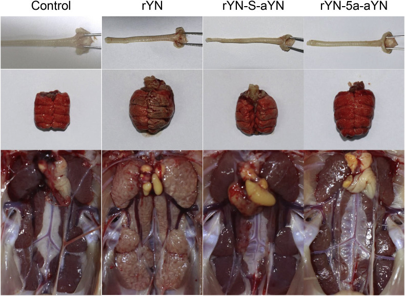 Fig. 3