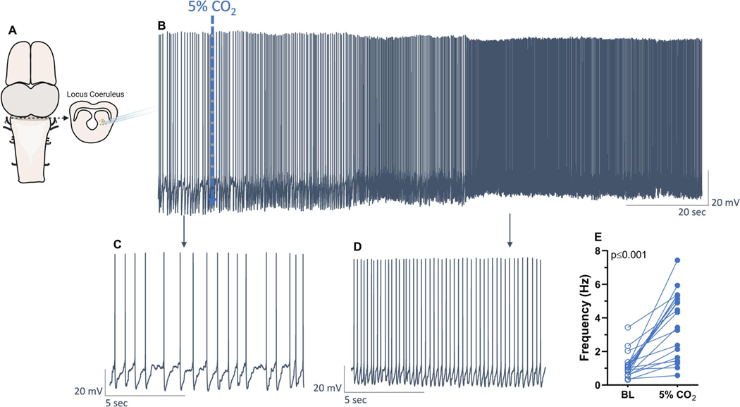 Figure 1 –