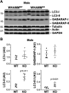 FIGURE 4: