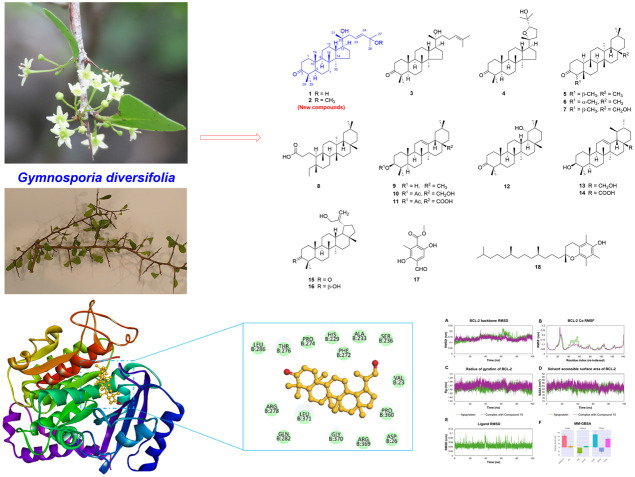 graphic file with name d5ra07080e-ga.jpg