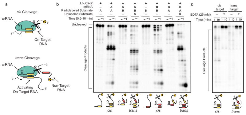 Extended Data Figure 5