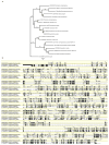 Extended Data Figure 1