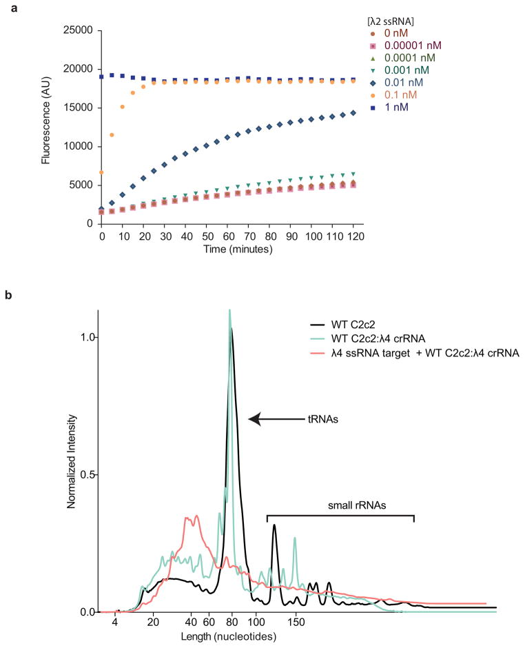 Extended Data Figure 9