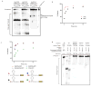 Extended Data Figure 7