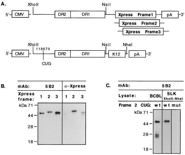 FIG. 8