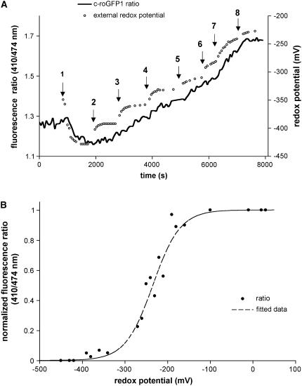 Figure 3.