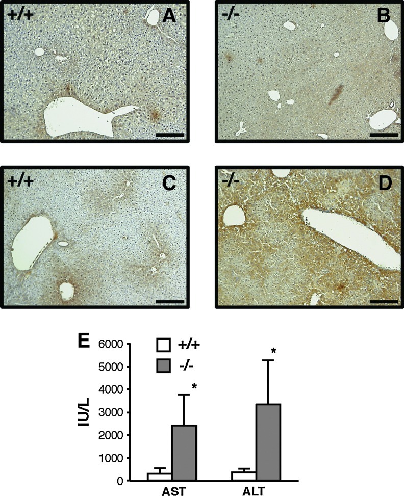 FIG. 8.