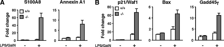 FIG. 7.