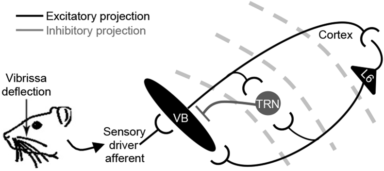 Fig. 1