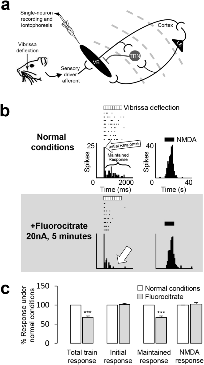 Fig. 4