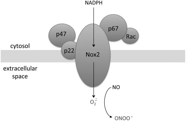 FIG. 5.