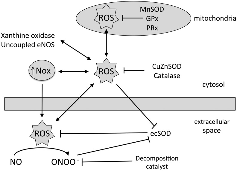 FIG. 7.