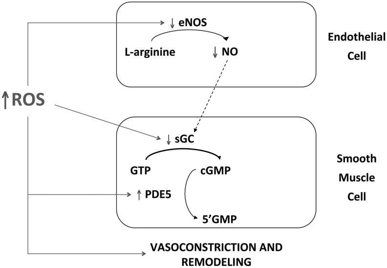 FIG. 4.