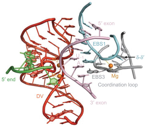 Figure 11