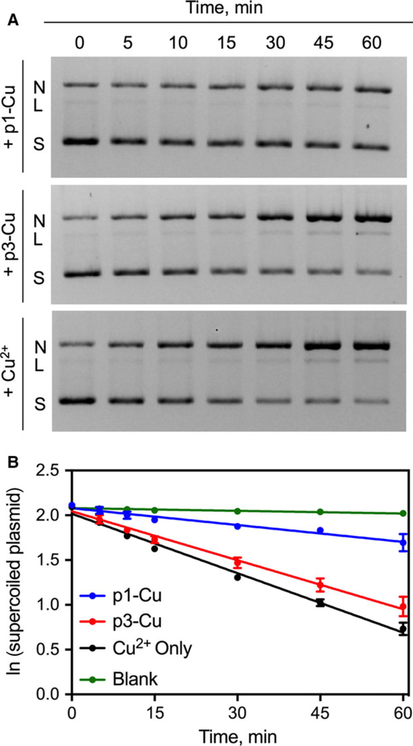 Fig. 3.