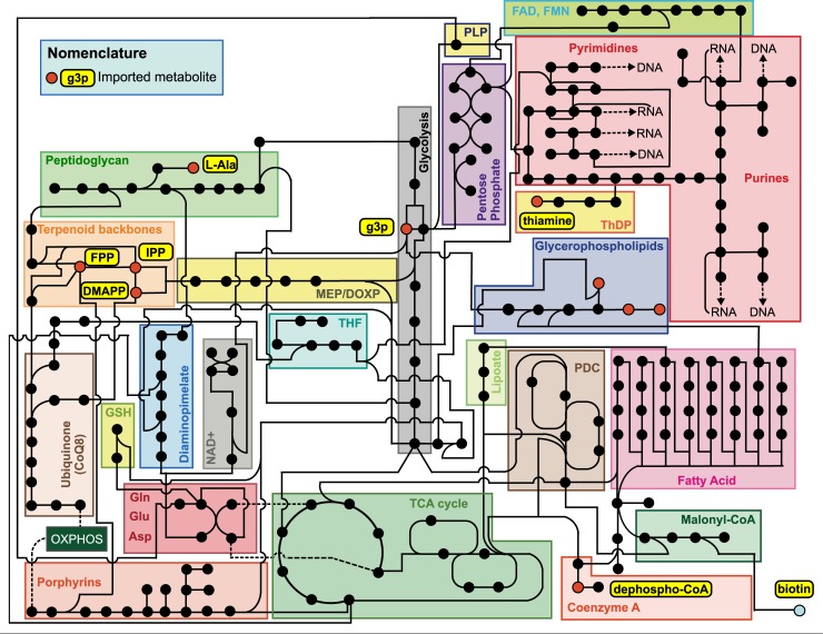 Fig 3