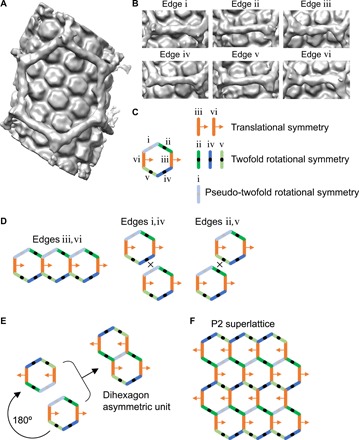 Fig. 4